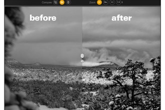 A Better Tool for Black and White? Meet Silver Efex Pro